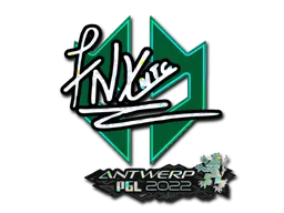 印花 | fnx（闪耀） | 2022年安特卫普锦标赛