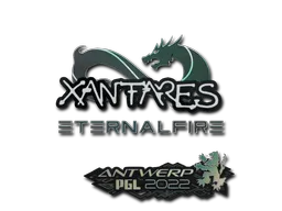 印花 | XANTARES | 2022年安特卫普锦标赛