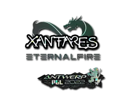 印花 | XANTARES(闪耀) | 2022年安特卫普锦标赛
