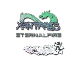 印花 | XANTARES(全息) | 2022年安特卫普锦标赛