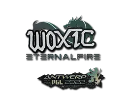 印花 | woxic | 2022年安特卫普锦标赛