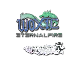 印花 | woxic(全息)| 2022年安特卫普锦标赛
