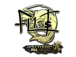印花 | FL1T（金色） | 2022年安特卫普锦标赛