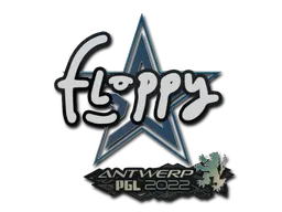 印花 | floppy | 2022年安特卫普锦标赛