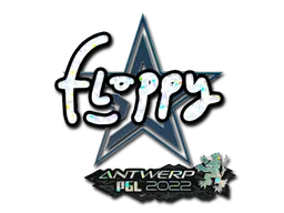 印花 | floppy(闪耀) | 2022年安特卫普锦标赛