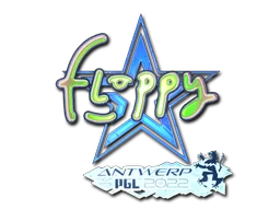 印花 | floppy（全息） | 2022年安特卫普锦标赛