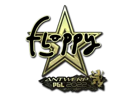 印花 | floppy（金色） | 2022年安特卫普锦标赛