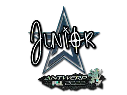 印花 | junior(闪耀) | 2022年安特卫普锦标赛