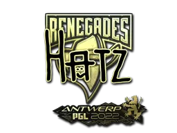 印花 | hatz（金色） | 2022年安特卫普锦标赛
