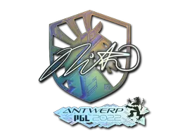 印花 | nitr0（全息） | 2022年安特卫普锦标赛