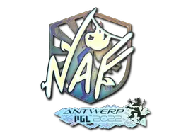 印花 | NAF(全息) | 2022年安特卫普锦标赛