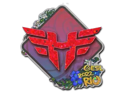 印花 | Heroic（闪耀）| 2022年里约热内卢锦标赛