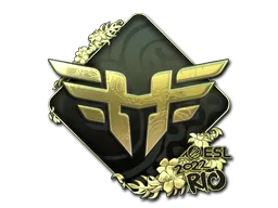 印花 | Heroic(金色)| 2022年里约热内卢锦标赛