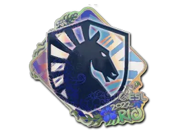 印花 | Team Liquid(全息)| 2022年里约热内卢锦标赛