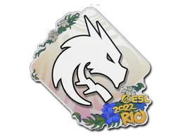 印花 | Team Spirit | 2022年里约热内卢锦标赛