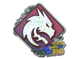 印花 | Team Spirit(闪耀)| 2022年里约热内卢锦标赛