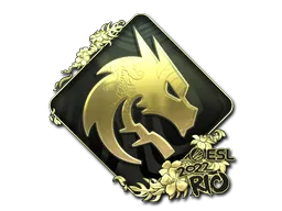 印花 | Team Spirit (金色)| 2022年里约热内卢锦标赛