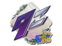 印花 | 9z Team | 2022年里约热内卢锦标赛