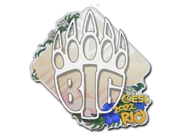 印花 | BIG | 2022年里约热内卢锦标赛
