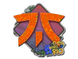印花 | Fnatic（闪耀）| 2022年里约热内卢锦标赛