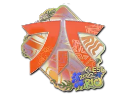 印花 | Fnatic(全息)| 2022年里约热内卢锦标赛