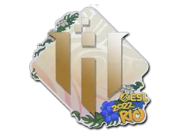 印花 | IHC Esports | 2022年里约热内卢锦标赛