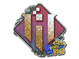 印花 | IHC Esports(闪耀)| 2022年里约热内卢锦标赛