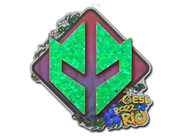 印花 | Imperial Esports(闪耀)| 2022年里约热内卢锦标赛