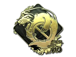 印花 | Outsiders（金色）| 2022年里约热内卢锦标赛