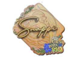 印花 | Snappi（全息）| 2022年里约热内卢锦标赛