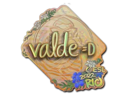 印花 | v4lde(全息)| 2022年里约热内卢锦标赛