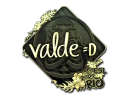 印花 | v4lde（金色）| 2022年里约热内卢锦标赛