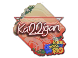 印花 | karrigan | 2022年里约热内卢锦标赛