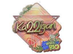 印花 | karrigan（全息）| 2022年里约热内卢锦标赛