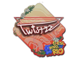 印花 | Twistzz | 2022年里约热内卢锦标赛