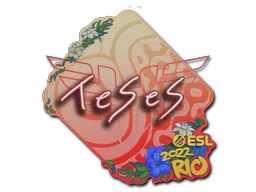 印花 | TeSeS | 2022年里约热内卢锦标赛