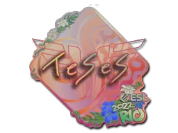 印花 | TeSeS(全息)| 2022年里约热内卢锦标赛