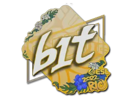 印花 | b1t | 2022年里约热内卢锦标赛