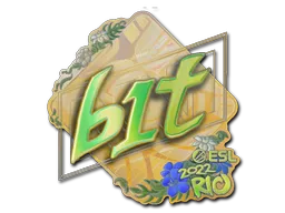 印花 | b1t（全息）| 2022年里约热内卢锦标赛