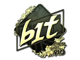 印花 | b1t(金色)| 2022年里约热内卢锦标赛