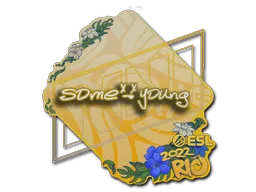 印花 | sdy | 2022年里约热内卢锦标赛