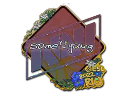 印花 | sdy（闪耀）| 2022年里约热内卢锦标赛