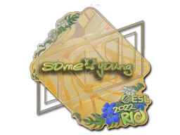 印花 | sdy（全息）| 2022年里约热内卢锦标赛