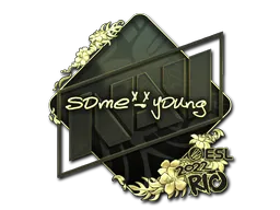 印花 | sdy（金色）| 2022年里约热内卢锦标赛