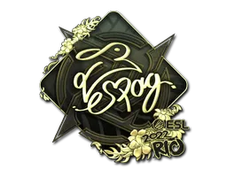 印花 | es3tag（金色）| 2022年里约热内卢锦标赛