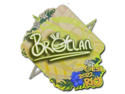印花 | Brollan | 2022年里约热内卢锦标赛