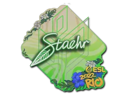 印花 | Staehr | 2022年里约热内卢锦标赛