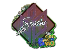 印花 | Staehr（闪耀）| 2022年里约热内卢锦标赛