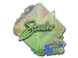 印花 | Staehr(全息)| 2022年里约热内卢锦标赛
