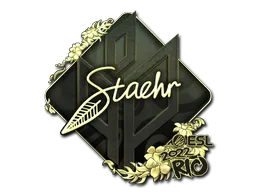 印花 | Staehr（金色）| 2022年里约热内卢锦标赛